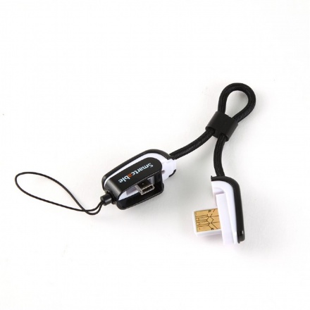 GEMBIRD Cestovní přívěšek USB-A - USB Mini, 0,1m, CCS-USB2-AM5P-0.3