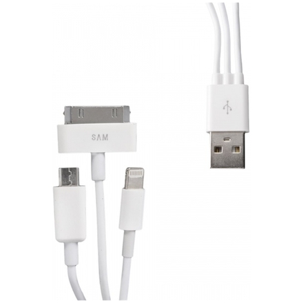 WHITENERGY WE Datový kabel micro USB/iPhone4/5 20cm bílý, 09987