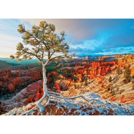 EUROGRAPHICS Puzzle Zimní svítání, Bryce Canyon 1000 dílků 114773
