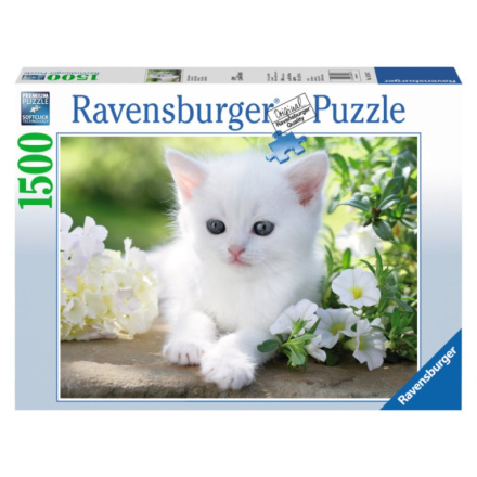 RAVENSBURGER Puzzle Bílé kotě 1500 dílků 116543