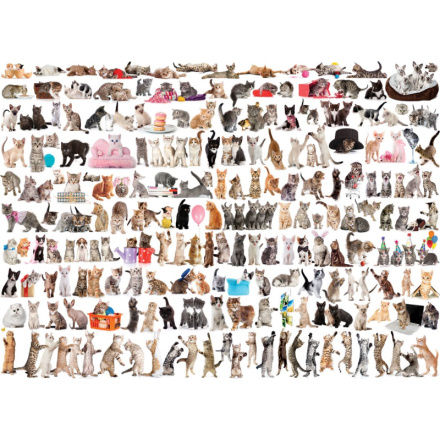 EUROGRAPHICS Puzzle Svět koček 1000 dílků 120169