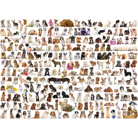 EUROGRAPHICS Puzzle Svět psů 1000 dílků 120170