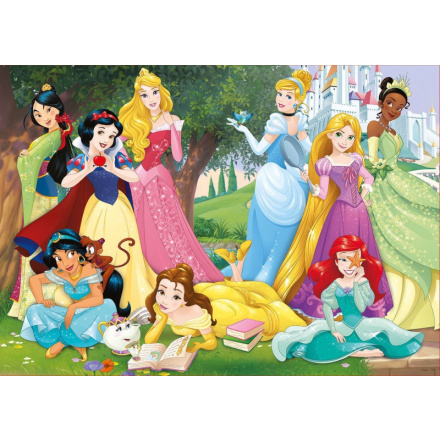 EDUCA Puzzle Disney Princezny 500 dílků 122565