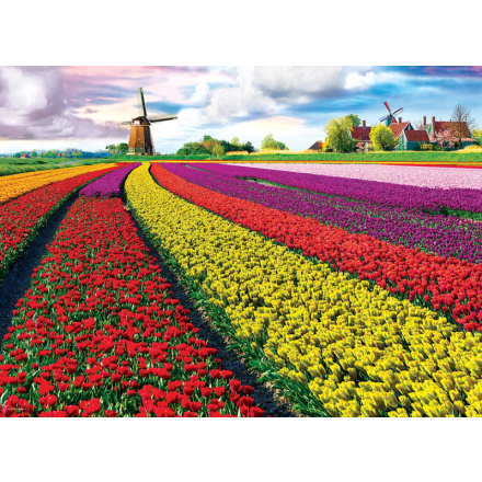 EUROGRAPHICS Puzzle Pole tulipánů 1000 dílků 123565