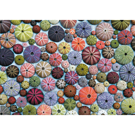 PIATNIK Puzzle Mořští ježci 1000 dílků 123731