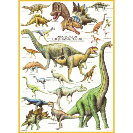 EUROGRAPHICS Puzzle Dinosauři z jurského období 1000 dílků 124631