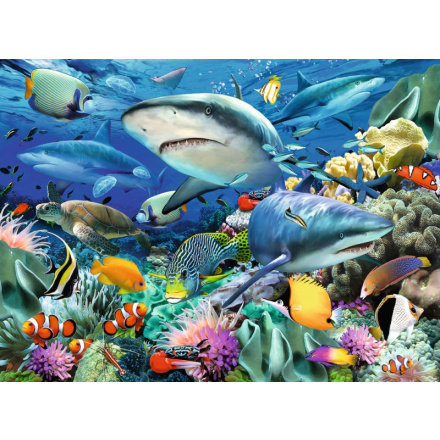 RAVENSBURGER Puzzle Žraločí útes XXL 100 dílků 124724
