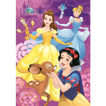 DINO Puzzle Disney princezny XL 100 dílků 124738
