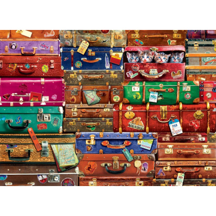 EUROGRAPHICS Puzzle Cestovní kufry 1000 dílků 126145