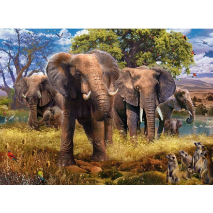 RAVENSBURGER Puzzle Stádo slonů 500 dílků 132722