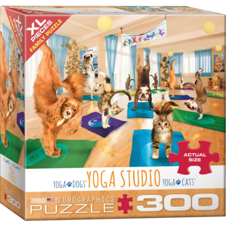 EUROGRAPHICS Puzzle Jóga studio XL 300 dílků 138446