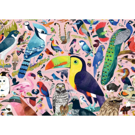 RAVENSBURGER Puzzle Úžasní ptáci 1000 dílků 139022