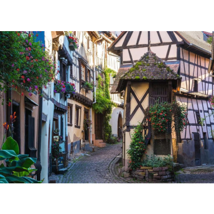 RAVENSBURGER Puzzle Eguisheim, Francie 1000 dílků 139141