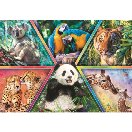 TREFL Puzzle Animal Planet: Království zvířat 1000 dílků 143626