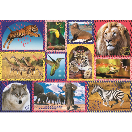 TREFL Puzzle Animal Planet: Divoká příroda 1000 dílků 143627