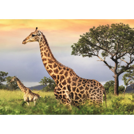 DINO Puzzle Žirafí rodina 1000 dílků 146549