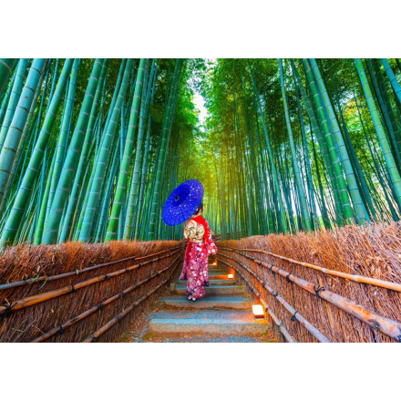 ENJOY Puzzle Asijská žena v bambusovém lese 1000 dílků 148539