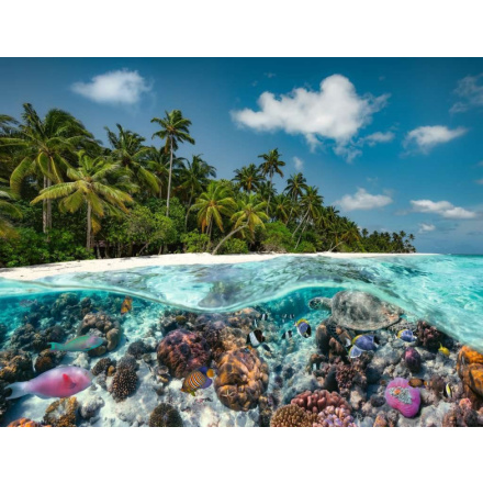 RAVENSBURGER Puzzle Potápění na Maledivách 2000 dílků 151488