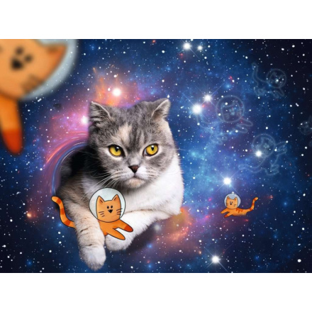 RAVENSBURGER Puzzle Kočky ve vesmíru 1500 dílků 151651