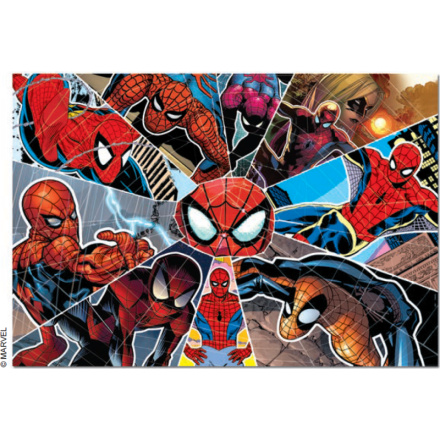 EDUCA Puzzle Spiderman 1000 dílků 152256