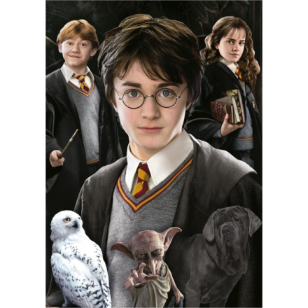 EDUCA Miniaturní puzzle Harry Potter 1000 dílků 152261