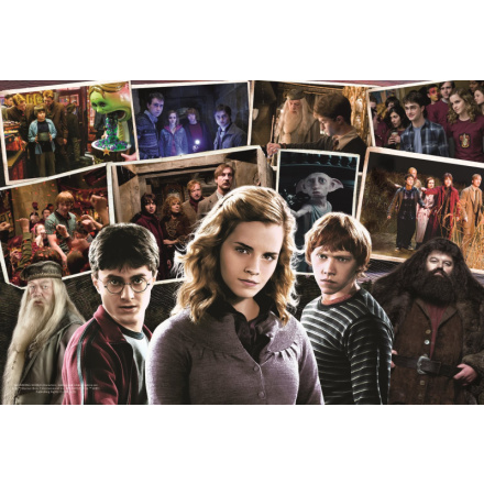 TREFL Puzzle Harry Potter s přáteli 160 dílků 152913