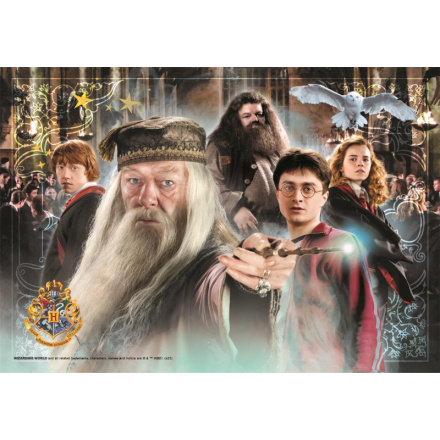 CLEMENTONI Puzzle Harry Potter 104 dílků 155539