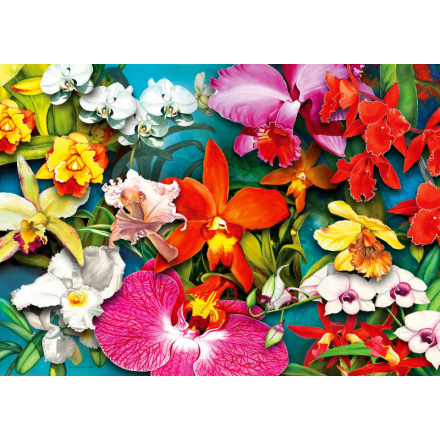 ENJOY Puzzle Džungle orchidejí 1000 dílků 156399