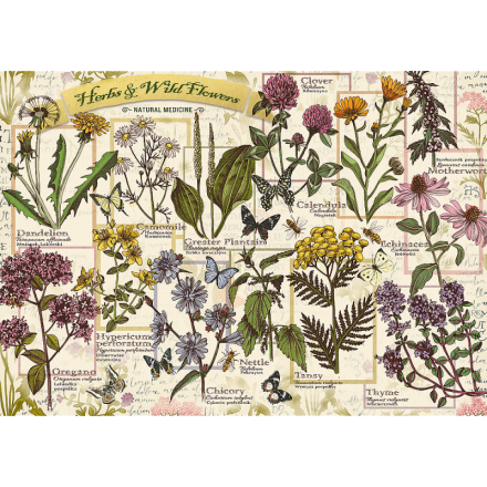 TREFL Puzzle Herbarium: Léčivé byliny 500 dílků 158732