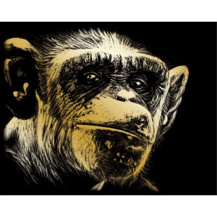 ROYAL & LANGNICKEL Zlatý škrabací obrázek Opice 25894