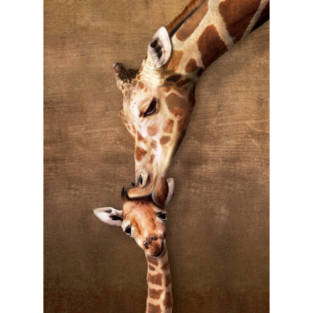 EUROGRAPHICS Puzzle Polibek žirafy XL 500 dílků 5727