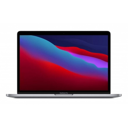 Apple MacBook Pro/M1/13,3"/2560x1600/8GB/256GB SSD/M1/Big Sur/Space Gray/1R, MYD82SL/A