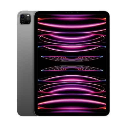 Apple iPad Pro 11"/WiFi/11"/2388x1668/16GB/1TB/iPadOS16/Space Gray, MNXK3FD/A
