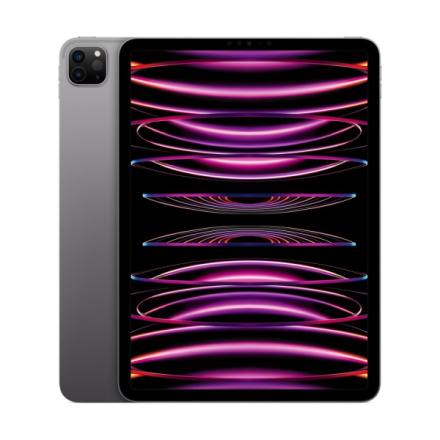 Apple iPad Pro 11"/WiFi/11"/2388x1668/16GB/2TB/iPadOS16/Space Gray, MNXM3FD/A