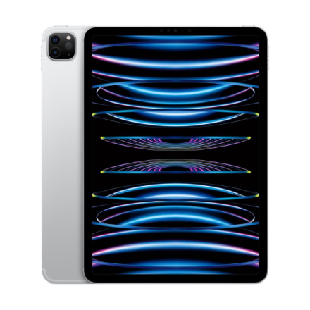 Apple iPad Pro 11"/WiFi + Cell/11"/2388x1668/16GB/1TB/iPadOS16/Silver, MNYK3FD/A