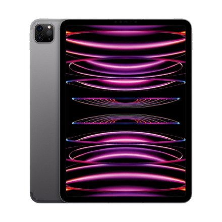 Apple iPad Pro 11"/WiFi + Cell/11"/2388x1668/8GB/512GB/iPadOS16/Space Gray, MNYG3FD/A