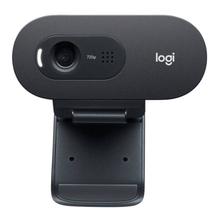 LOGITECH OEM akce webcam Logitech HD Webcam C505e, 960-001372