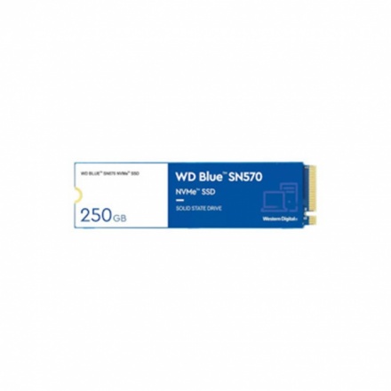 WESTERN DIGITAL WD Blue SN570/250GB/SSD/M.2 NVMe/5R, WDS250G3B0C