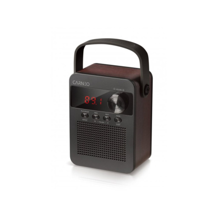 CARNEO F90 FM rádio, BT reproduktor, black/wood, 8588007861890