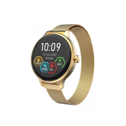 CARNEO Hero mini HR+/Gold/Elegant Band/Gold, 8588009299202