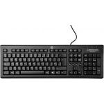 HP Classic Wired Keyboard - Slovakia, WZ972AA#AKR