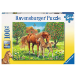 RAVENSBURGER Puzzle Koně na pastvině XXL 100 dílků 116151