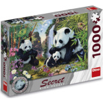 DINO Puzzle Secret Collection: Pandy 1000 dílků 117288