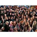 RAVENSBURGER Puzzle Challenge: Harry Potter 1000 dílků 129426