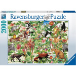 RAVENSBURGER Puzzle Džungle 2000 dílků 139125