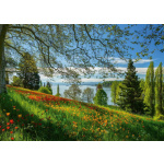 SCHMIDT Puzzle Kvetoucí tulipány na ostrově Mainau 1000 dílků 141881