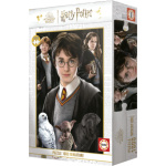 EDUCA Miniaturní puzzle Harry Potter 1000 dílků 152261