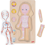 GOKI Vícevrstvé puzzle Lidské tělo Dívka 155600
