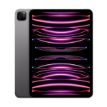 Apple iPad Pro 11"/WiFi + Cell/11"/2388x1668/16GB/2TB/iPadOS16/Space Gray, MNYL3FD/A